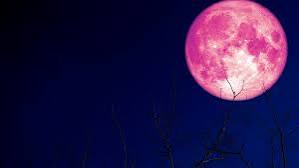 LUNA de FRESA en CAPRICORNIO por VERÓNICA LUNA, ASTRÓLOGA